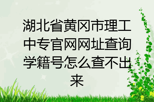 湖北省黄冈市理工中专官网网址查询学籍号怎么查不出来