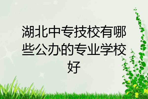 湖北中专技校有哪些公办的专业学校好