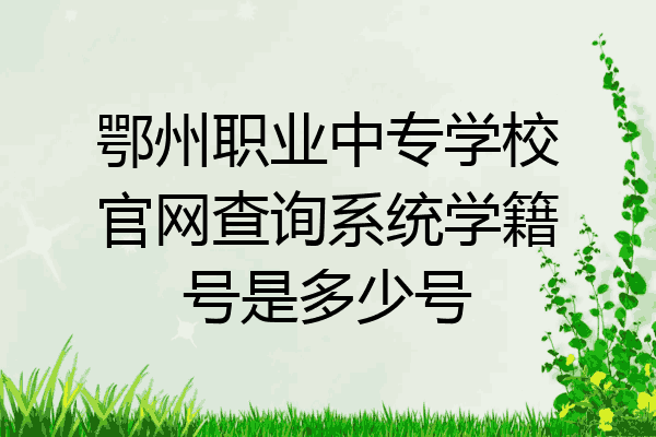 鄂州职业中专学校官网查询系统学籍号是多少号