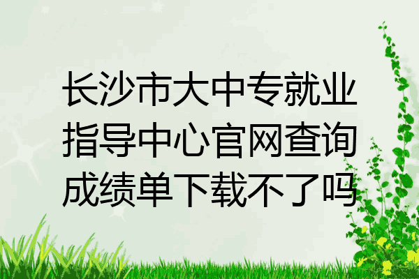 长沙市大中专就业指导中心官网查询成绩单下载不了吗