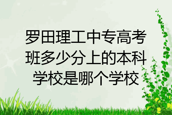 罗田理工中专高考班多少分上的本科学校是哪个学校