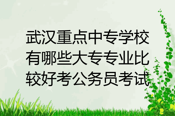 武汉重点中专学校有哪些大专专业比较好考公务员考试