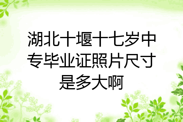 湖北十堰十七岁中专毕业证照片尺寸是多大啊