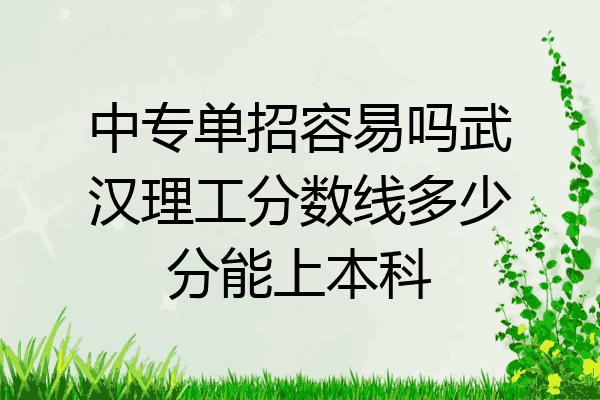 中专单招容易吗武汉理工分数线多少分能上本科