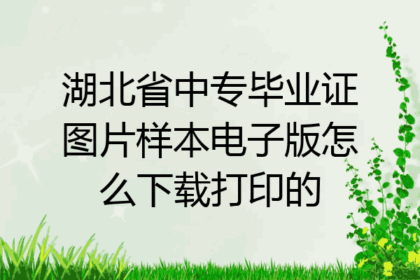 湖北省中专毕业证图片样本电子版怎么下载打印的