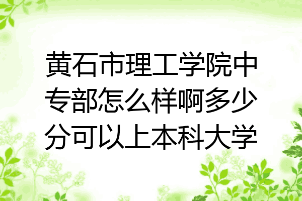 黄石市理工学院中专部怎么样啊多少分可以上本科大学