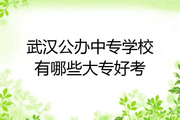 武汉公办中专学校有哪些大专好考