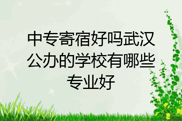 中专寄宿好吗武汉公办的学校有哪些专业好