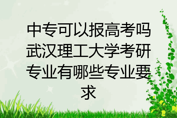 中专可以报高考吗武汉理工大学考研专业有哪些专业要求