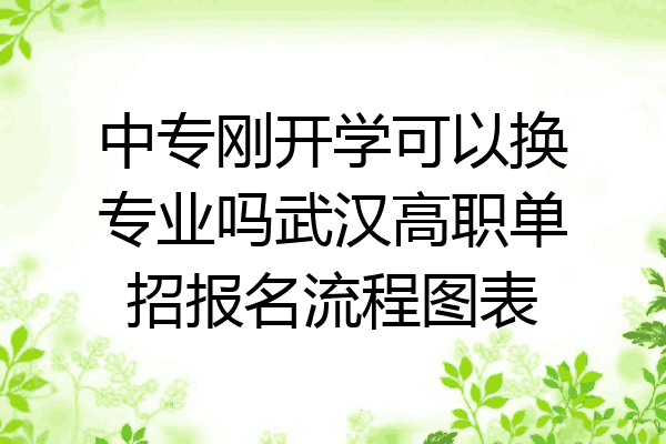 中专刚开学可以换专业吗武汉高职单招报名流程图表
