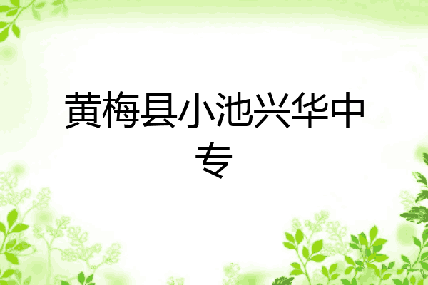 黄梅县小池兴华中专
