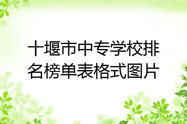 十堰市中专学校排名榜单表格式图片