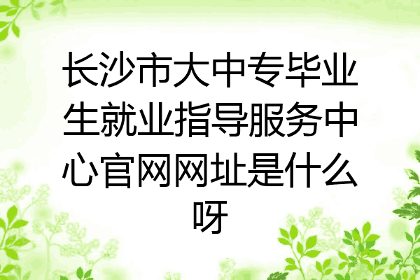 长沙市大中专毕业生就业指导服务中心官网网址是什么呀