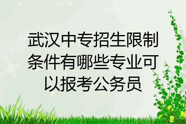 武汉中专招生限制条件有哪些专业可以报考公务员