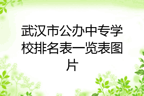 武汉市公办中专学校排名表一览表图片