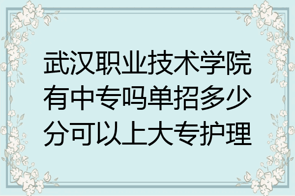 武汉职业技术学院有中专吗单招多少分可以上大专护理