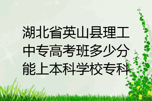 湖北省英山县理工中专高考班多少分能上本科学校专科