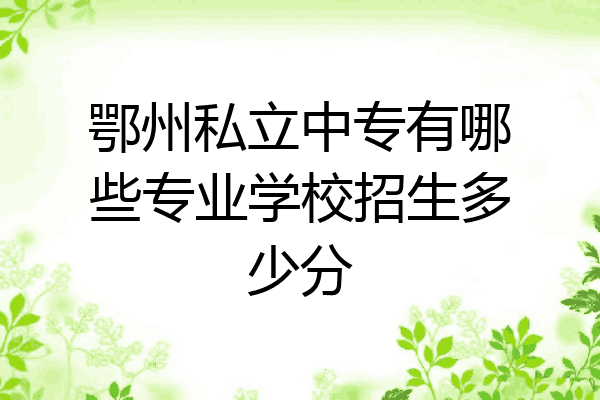 鄂州私立中专有哪些专业学校招生多少分