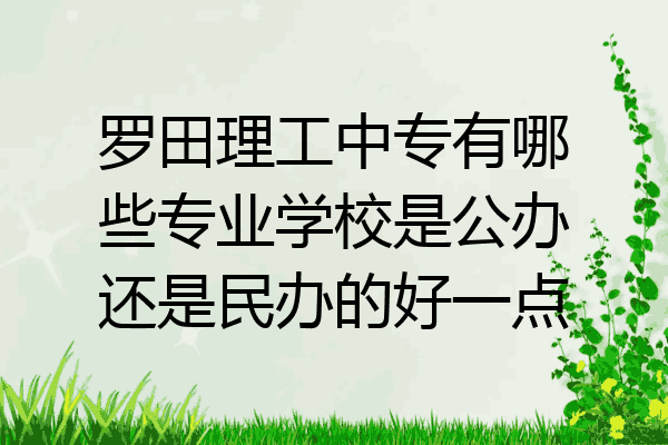 罗田理工中专有哪些专业学校是公办还是民办的好一点