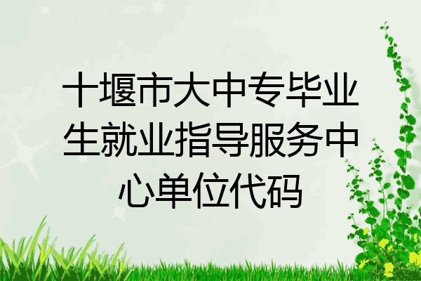 十堰市大中专毕业生就业指导服务中心单位代码
