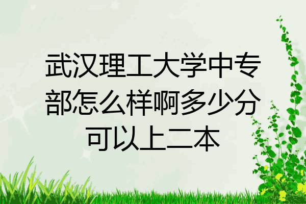 武汉理工大学中专部怎么样啊多少分可以上二本