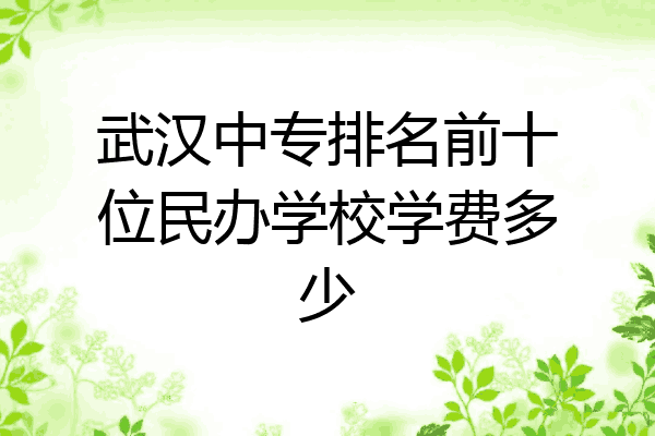 武汉中专排名前十位民办学校学费多少