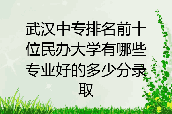 武汉中专排名前十位民办大学有哪些专业好的多少分录取