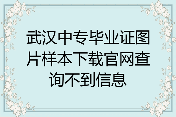 武汉中专毕业证图片样本下载官网查询不到信息