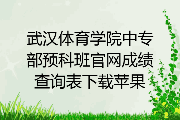 武汉体育学院中专部预科班官网成绩查询表下载苹果