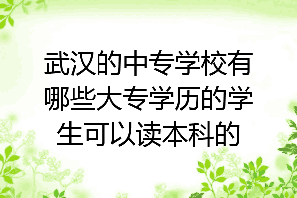 武汉的中专学校有哪些大专学历的学生可以读本科的
