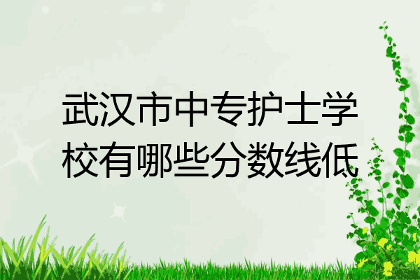 武汉市中专护士学校有哪些分数线低