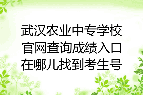 武汉农业中专学校官网查询成绩入口在哪儿找到考生号