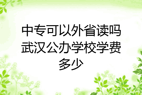中专可以外省读吗武汉公办学校学费多少