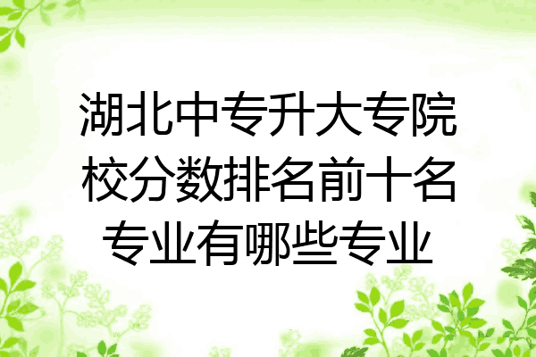 湖北中专升大专院校分数排名前十名专业有哪些专业