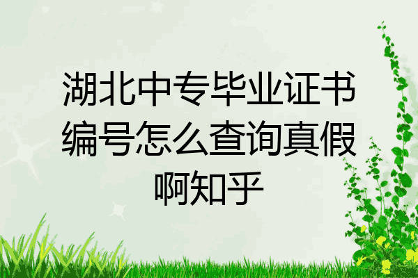 湖北中专毕业证书编号怎么查询真假啊知乎