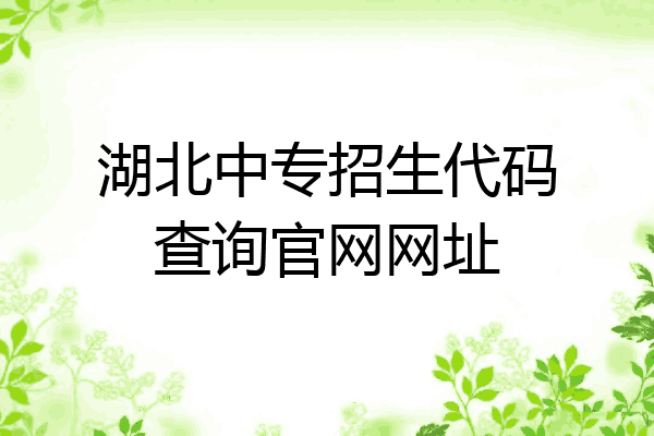 湖北中专招生代码查询官网网址