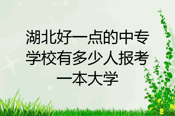湖北好一点的中专学校有多少人报考一本大学