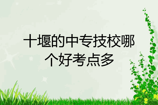 十堰的中专技校哪个好考点多