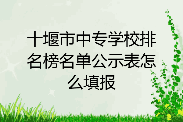 十堰市中专学校排名榜名单公示表怎么填报