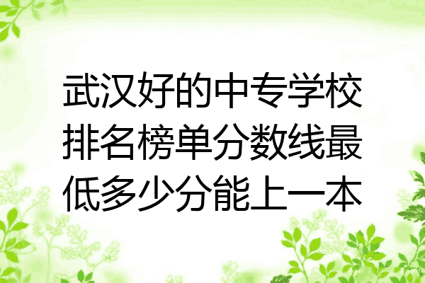 武汉好的中专学校排名榜单分数线最低多少分能上一本