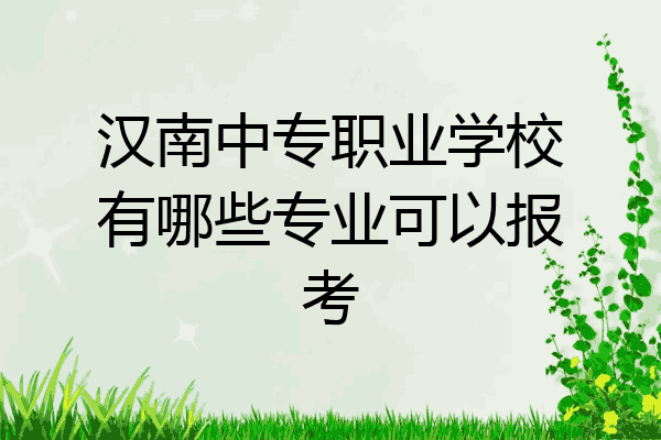 汉南中专职业学校有哪些专业可以报考