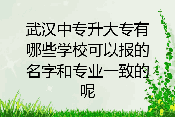 武汉中专升大专有哪些学校可以报的名字和专业一致的呢