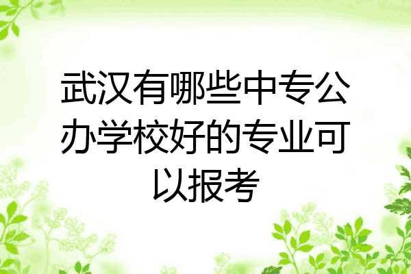 武汉有哪些中专公办学校好的专业可以报考