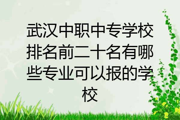 武汉中职中专学校排名前二十名有哪些专业可以报的学校