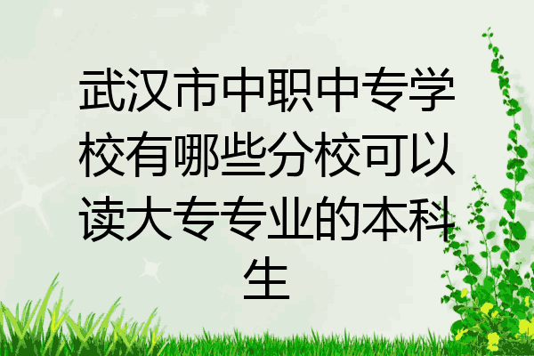 武汉市中职中专学校有哪些分校可以读大专专业的本科生