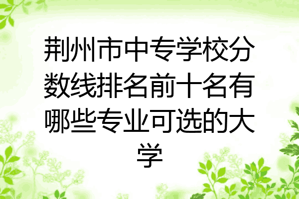 荆州市中专学校分数线排名前十名有哪些专业可选的大学