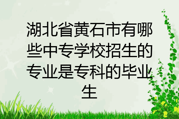 湖北省黄石市有哪些中专学校招生的专业是专科的毕业生
