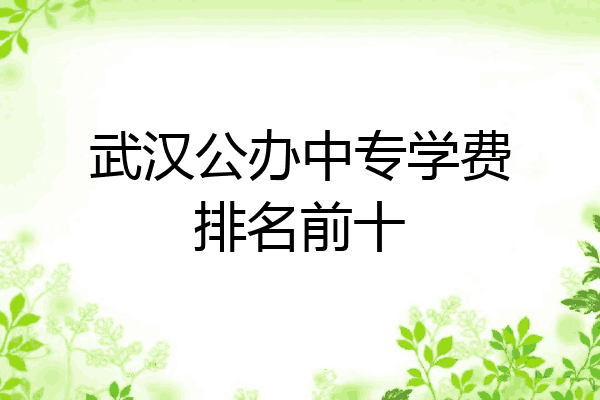 武汉公办中专学费排名前十