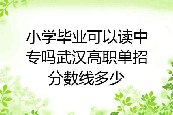 小学毕业可以读中专吗武汉高职单招分数线多少
