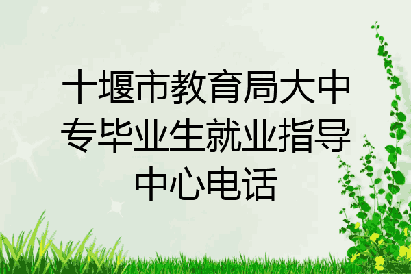 十堰市教育局大中专毕业生就业指导中心电话